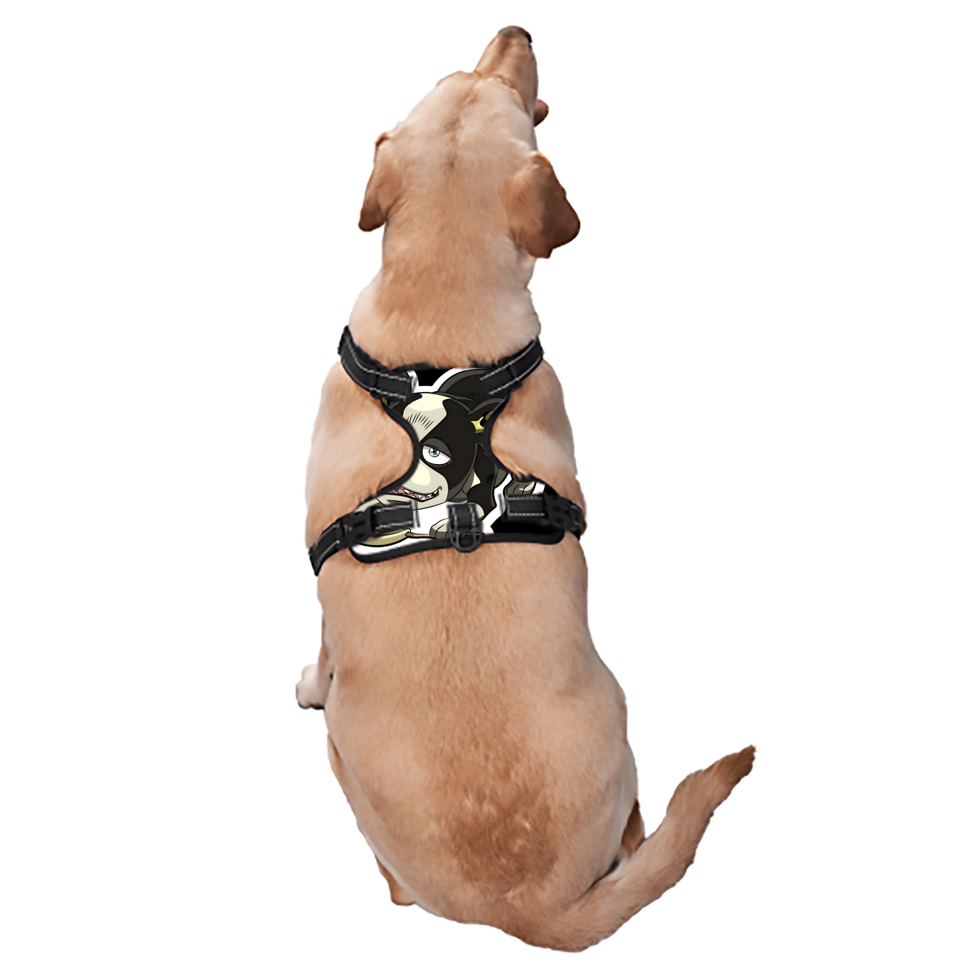 （画像用） ジョジョの奇妙な冒険 イギー JoJo's Bizarre Adventure Iggy ペット用ハーネス